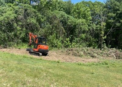 Clearing Brush and Trees