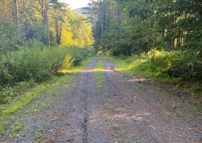 Restoration of a gravel driveway